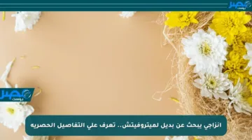 إنزاجي يبحث عن بديل لميتروفيتش.. تعرف على التفاصيل الحصرية